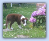 juli 2004